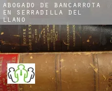 Abogado de bancarrota en  Serradilla del Llano