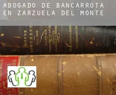 Abogado de bancarrota en  Zarzuela del Monte