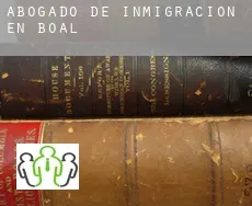 Abogado de inmigración en  Boal