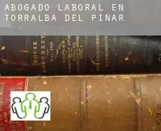 Abogado laboral en  Torralba del Pinar