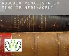 Abogado penalista en  Miño de Medinaceli
