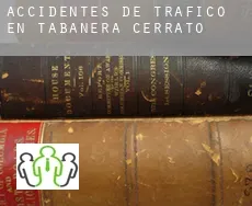 Accidentes de tráfico en  Tabanera de Cerrato
