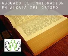 Abogado de inmigración en Alcalá del Obispo