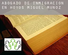 Abogado de inmigración en  Hoyos de Miguel Muñoz