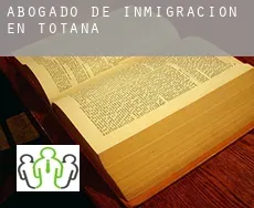 Abogado de inmigración en Totana