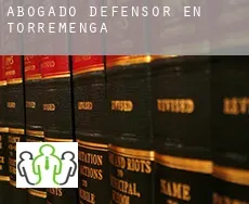 Abogado defensor en  Torremenga