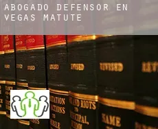 Abogado defensor en  Vegas de Matute
