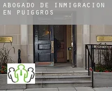 Abogado de inmigración en  Puiggròs