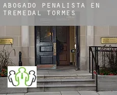 Abogado penalista en  Tremedal de Tormes
