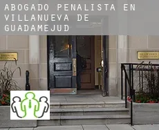 Abogado penalista en  Villanueva de Guadamejud