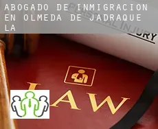 Abogado de inmigración en  Olmeda de Jadraque (La)