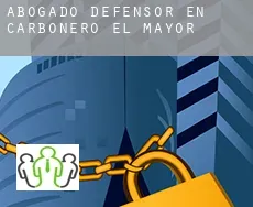 Abogado defensor en  Carbonero el Mayor