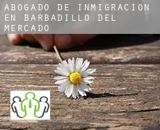 Abogado de inmigración en  Barbadillo del Mercado