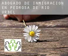 Abogado de inmigración en  Pedrosa de Río Úrbel