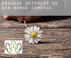 Abogado defensor en  San Román de Cameros