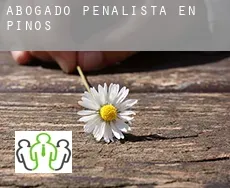 Abogado penalista en  Pinós