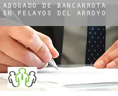 Abogado de bancarrota en  Pelayos del Arroyo