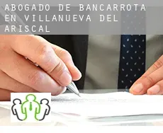 Abogado de bancarrota en  Villanueva del Ariscal