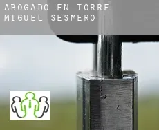 Abogado en  Torre de Miguel Sesmero