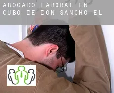 Abogado laboral en Cubo de Don Sancho (El)