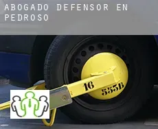 Abogado defensor en  Pedroso