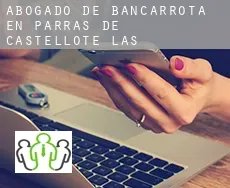 Abogado de bancarrota en  Parras de Castellote (Las)