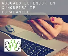Abogado defensor en  Xunqueira de Espadanedo