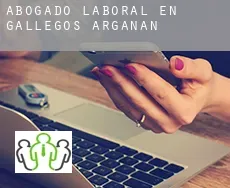 Abogado laboral en Gallegos de Argañán