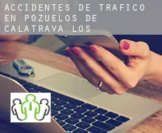 Accidentes de tráfico en  Pozuelos de Calatrava (Los)