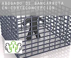 Abogado de bancarrota en  Corteconcepción