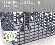Abogado laboral en  Gallués / Galoze