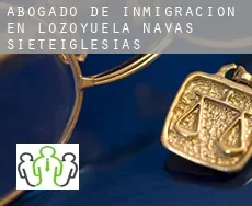 Abogado de inmigración en  Lozoyuela-Navas-Sieteiglesias