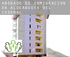 Abogado de inmigración en  Aldeanueva del Codonal