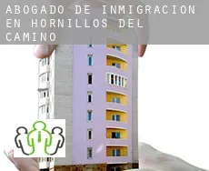 Abogado de inmigración en  Hornillos del Camino