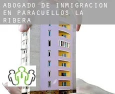 Abogado de inmigración en  Paracuellos de la Ribera