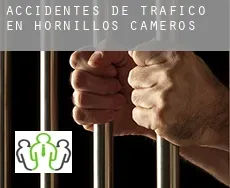 Accidentes de tráfico en  Hornillos de Cameros