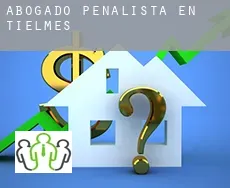 Abogado penalista en  Tielmes