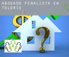 Abogado penalista en  Toloriu