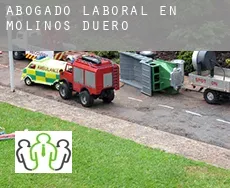 Abogado laboral en  Molinos de Duero