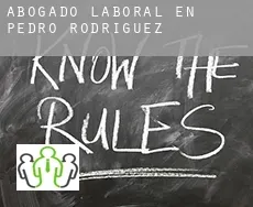 Abogado laboral en  Pedro-Rodríguez