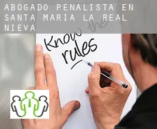 Abogado penalista en  Santa María la Real de Nieva