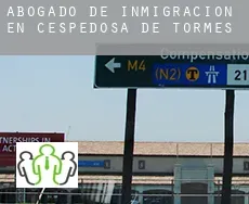 Abogado de inmigración en  Cespedosa de Tormes