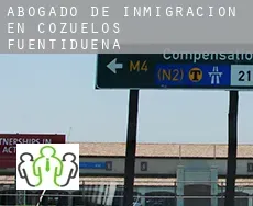 Abogado de inmigración en  Cozuelos de Fuentidueña