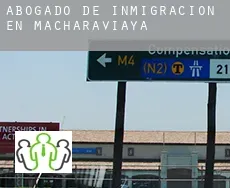 Abogado de inmigración en  Macharaviaya