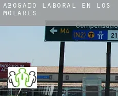 Abogado laboral en  Los Molares