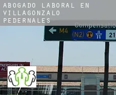 Abogado laboral en  Villagonzalo-Pedernales
