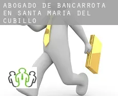 Abogado de bancarrota en Santa María del Cubillo