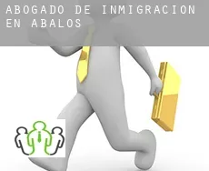 Abogado de inmigración en  Ábalos