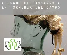 Abogado de bancarrota en  Torrubia del Campo