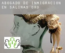 Abogado de inmigración en  Salinas de Oro